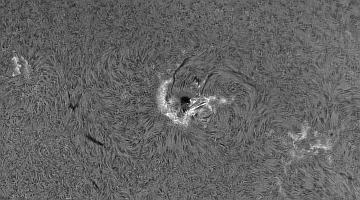 AR3784 H-Alpha