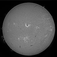 Sun Full Disk H-alpha