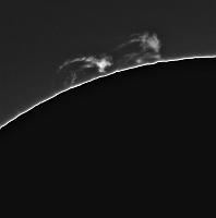 Southeast Prominences in H-Alpha
