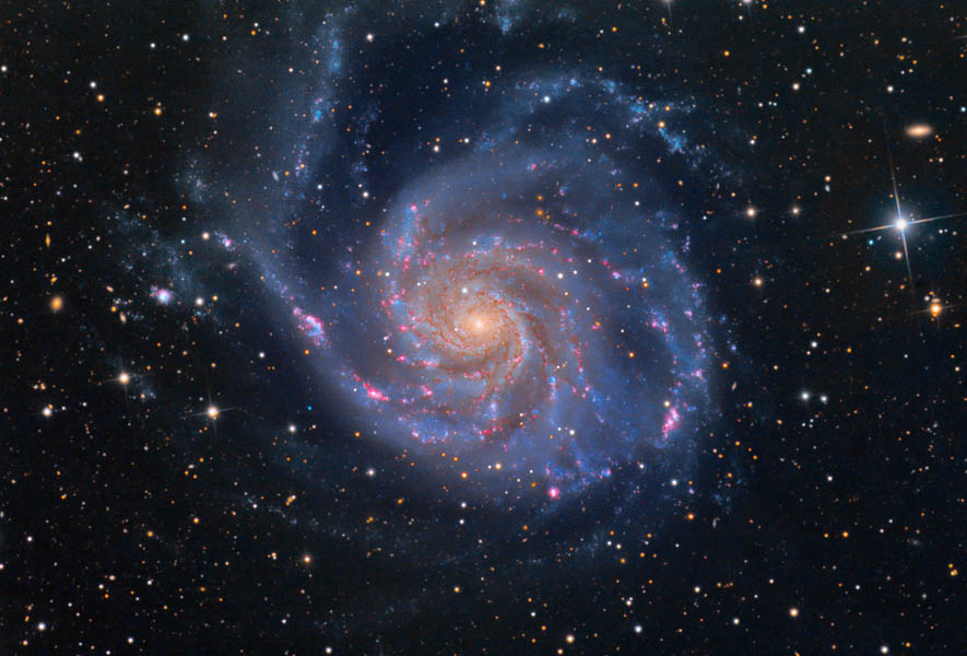 M101