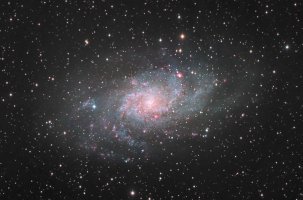 M33