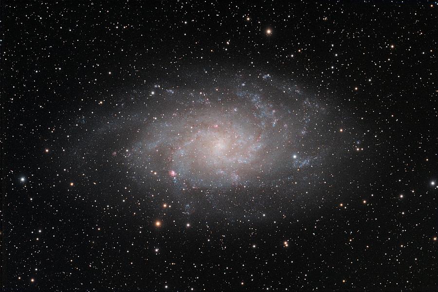 M33