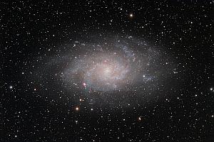 M33