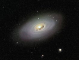 M64