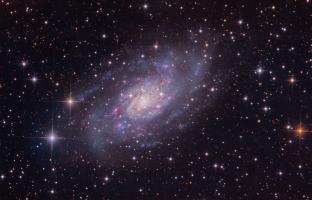 NGC2403
