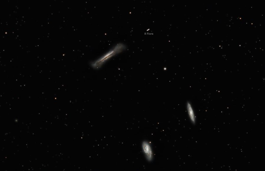 Trio in Leo with 8 Flora