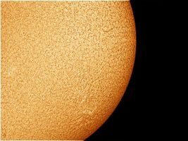 The Sun in 2010