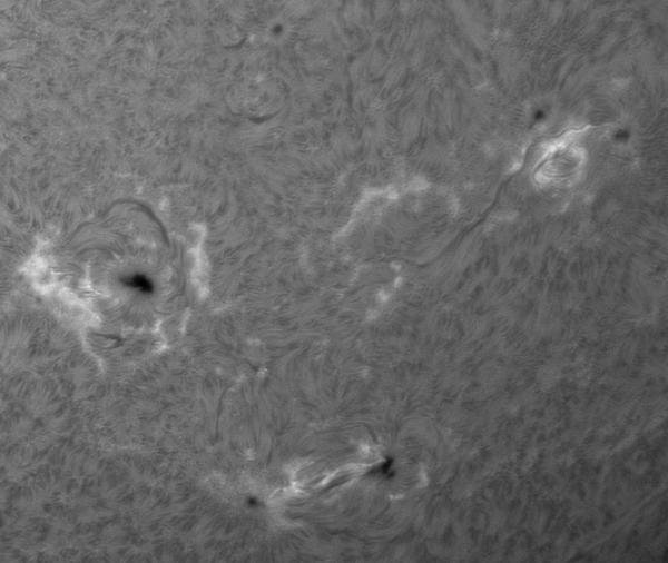 Interesting Active Regions